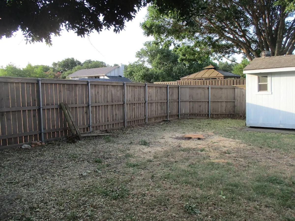 Cleared yard after professional tree removal in Greenville Junction